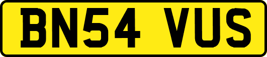 BN54VUS