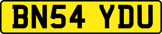 BN54YDU