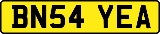 BN54YEA