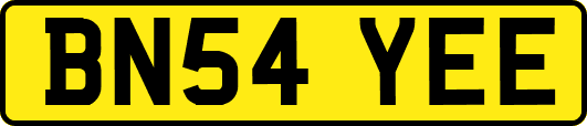 BN54YEE