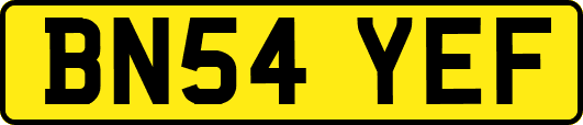 BN54YEF