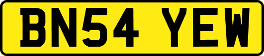 BN54YEW