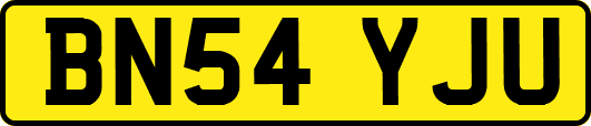 BN54YJU