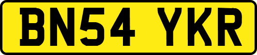 BN54YKR