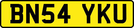 BN54YKU