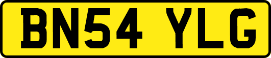BN54YLG