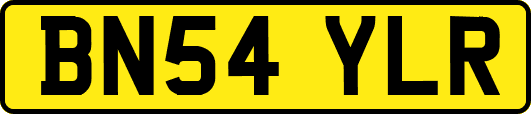 BN54YLR