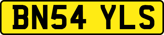 BN54YLS