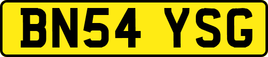 BN54YSG