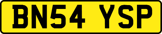 BN54YSP