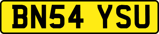 BN54YSU