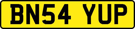 BN54YUP