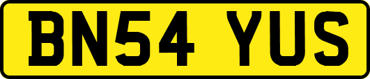 BN54YUS