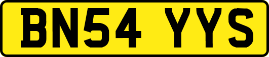BN54YYS