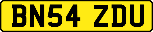 BN54ZDU