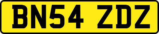 BN54ZDZ