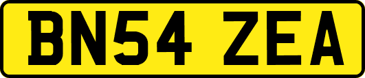 BN54ZEA
