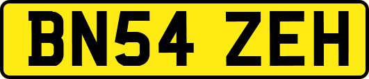 BN54ZEH