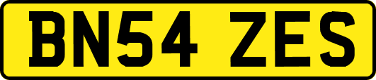 BN54ZES