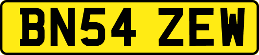 BN54ZEW