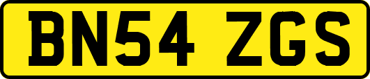 BN54ZGS