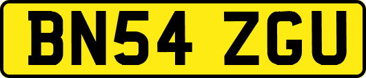 BN54ZGU