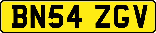 BN54ZGV