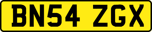 BN54ZGX