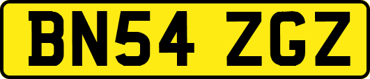 BN54ZGZ