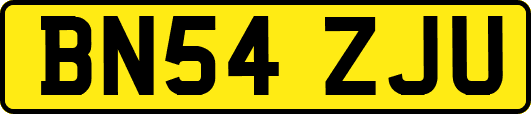 BN54ZJU