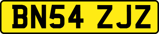 BN54ZJZ