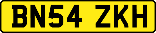 BN54ZKH