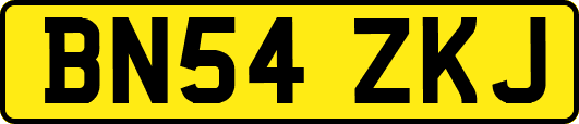 BN54ZKJ