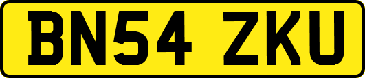 BN54ZKU