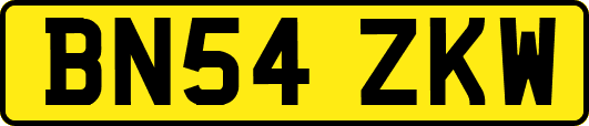 BN54ZKW