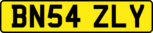 BN54ZLY