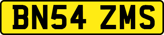BN54ZMS
