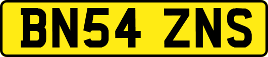 BN54ZNS