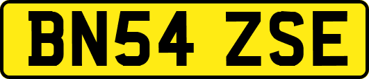 BN54ZSE
