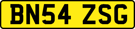 BN54ZSG
