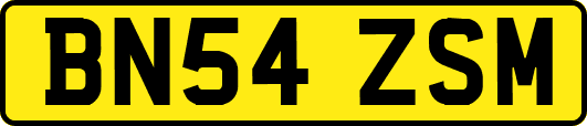 BN54ZSM
