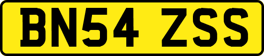 BN54ZSS