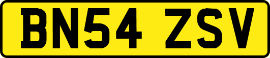 BN54ZSV
