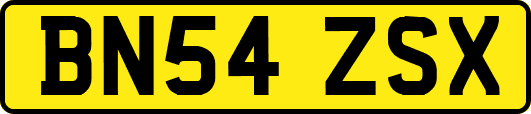 BN54ZSX