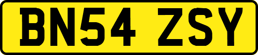 BN54ZSY