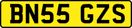 BN55GZS