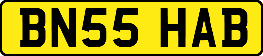 BN55HAB