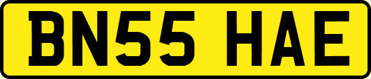 BN55HAE