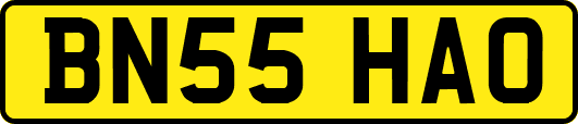 BN55HAO
