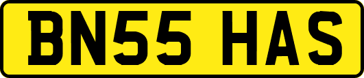 BN55HAS